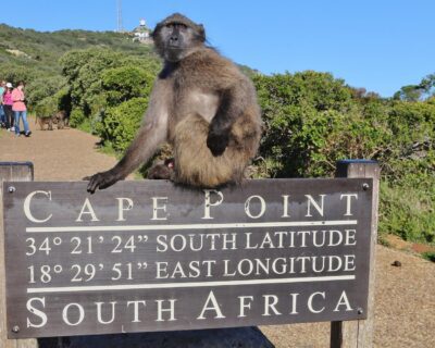 cape-point