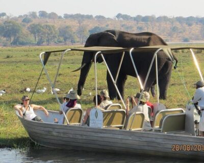 chobe2-1