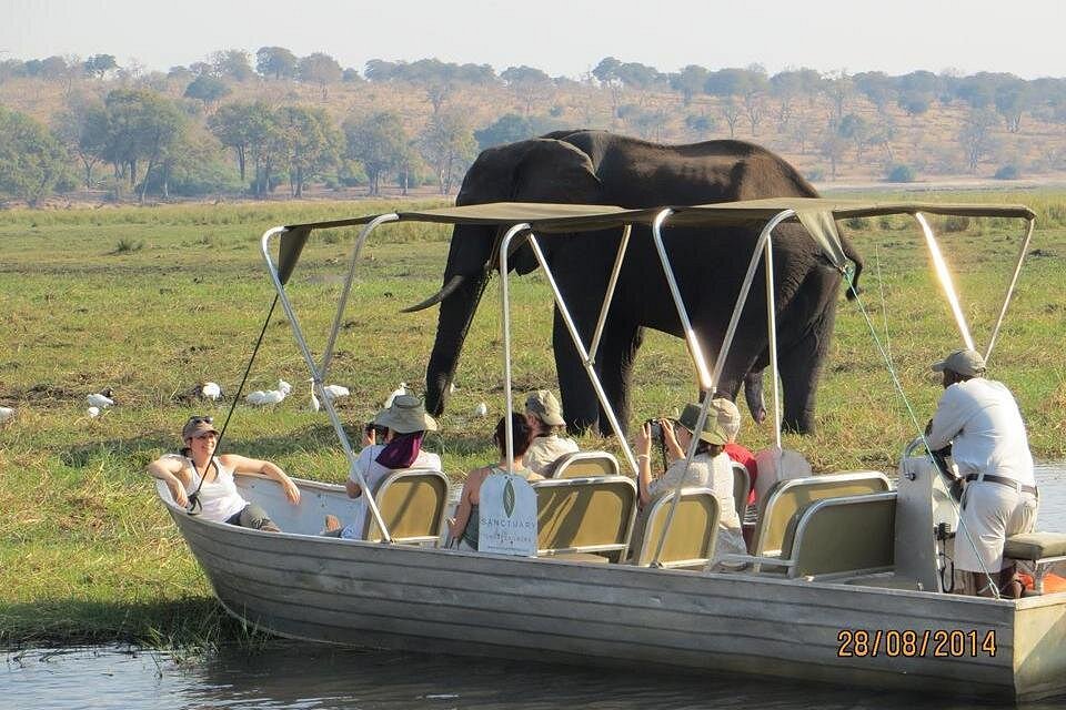 Ultimate Chobe Safari Day: River Cruise and Game Drive from Victoria Falls